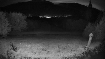 Snímek    13.9.2025 v 20:00