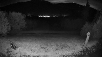 Snímek    13.9.2025 v 20:30