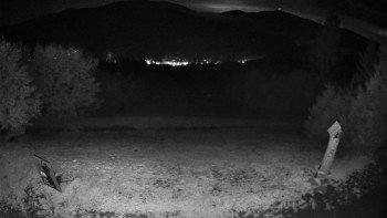 Snímek    13.9.2025 v 22:00