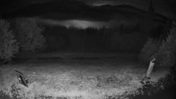 Snímek    14.9.2025 v 03:00
