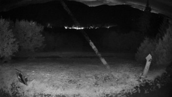 Snímek    15.9.2025 v 22:00