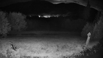 Snímek    17.9.2025 v 03:30
