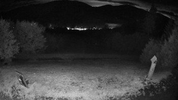 Snímek    17.9.2025 v 04:30