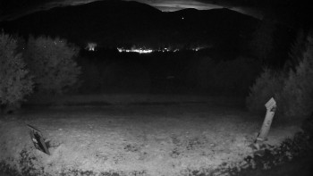 Snímek    18.9.2025 v 20:30