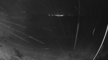 Snímek    14.10.2025 v 20:30