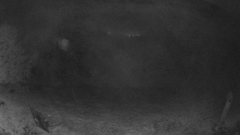 Snímek    16.10.2025 v 04:30