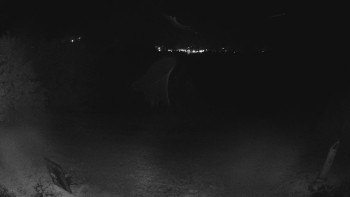 Snímek    18.10.2025 v 05:00