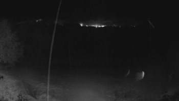 Snímek    24.10.2025 v 05:00