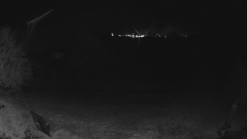Snímek    24.10.2025 v 06:00