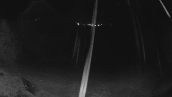 Snímek    27.10.2025 v 23:00
