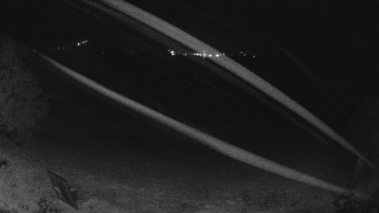 Snímek    29.10.2025 v 03:00