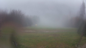 Snímek    3.11.2025 v 10:30