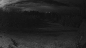 Snímek    4.11.2025 v 03:30