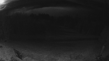 Snímek    4.11.2025 v 04:30