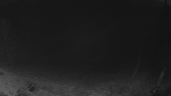 Snímek 8.11.2025 v 20:30