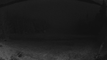 Snímek 8.11.2025 v 23:00