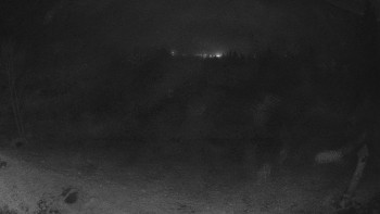 Snímek    14.11.2025 v 05:00