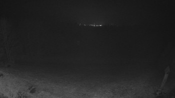 Snímek 15.11.2025 v 20:00