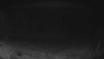 Snímek 16.11.2025 v 04:30