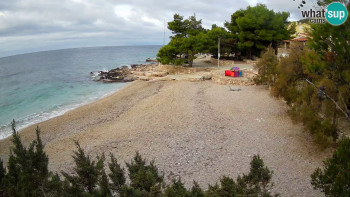 Snímek    31.10.2025 v 07:00