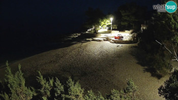 Snímek    1.11.2025 v 05:30