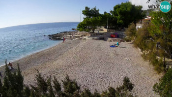 Snímek    1.11.2025 v 13:00