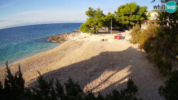 Snímek    2.11.2025 v 08:30