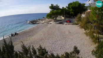 Snímek    2.11.2025 v 13:00