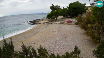 Snímek    3.11.2025 v 11:00