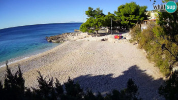 Snímek    4.11.2025 v 09:45