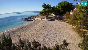 Snímek    4.11.2025 v 13:00