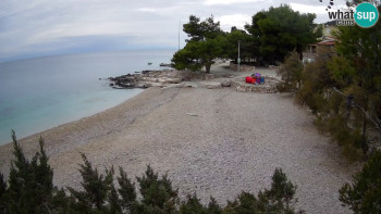 Snímek 8.11.2025 v 06:45