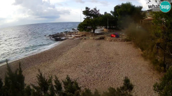 Snímek 8.11.2025 v 12:15