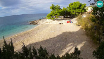 Snímek 9.11.2025 v 08:45