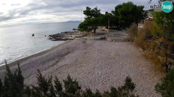 Snímek    19.11.2025 v 13:45