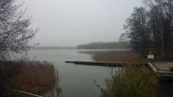 Kisajno, Port Sailor