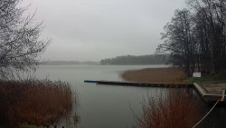 Kisajno, Port Sailor