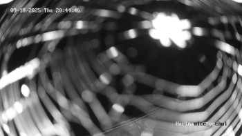 Snímek    18.9.2025 v 20:45