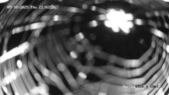 Snímek    18.9.2025 v 21:02