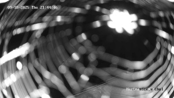 Snímek    18.9.2025 v 21:45