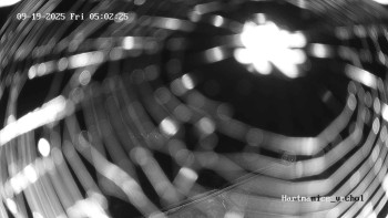 Snímek    19.9.2025 v 05:02