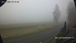 Údolí Úhlavy, Královský Hvozd