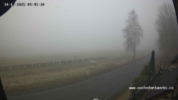 Údolí Úhlavy, Královský Hvozd