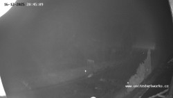 Údolí Úhlavy, Královský Hvozd