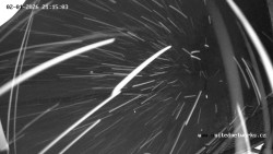 Údolí Úhlavy, Královský Hvozd