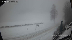 Údolí Úhlavy, Královský Hvozd