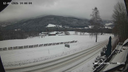 Údolí Úhlavy, Královský Hvozd