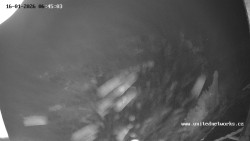 Údolí Úhlavy, Královský Hvozd