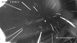 Údolí Úhlavy, Královský Hvozd