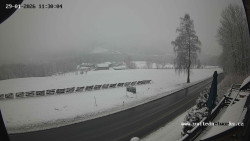 Údolí Úhlavy, Královský Hvozd